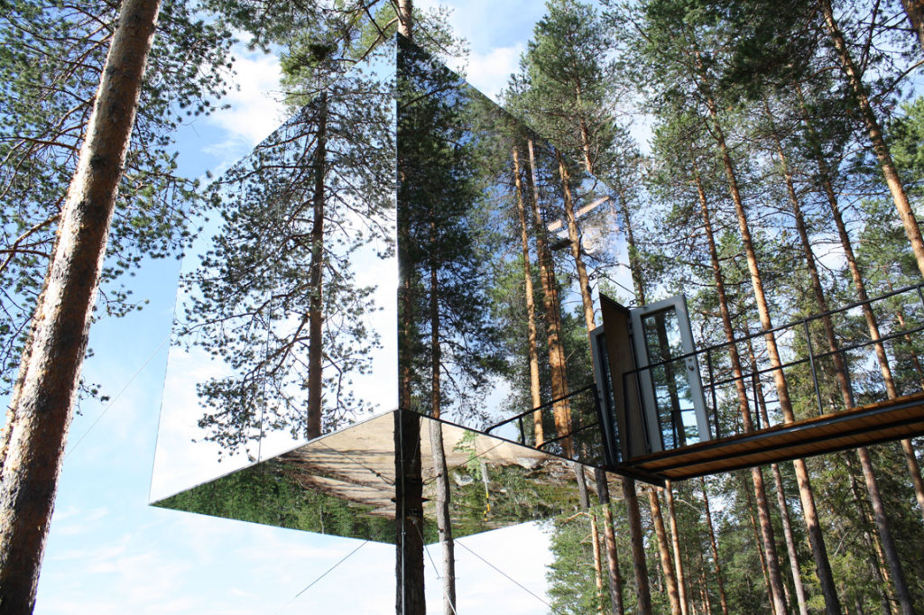 Tree hotel 1